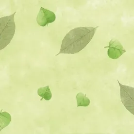 D-C-TABLE NAPPE RDE  F2312063